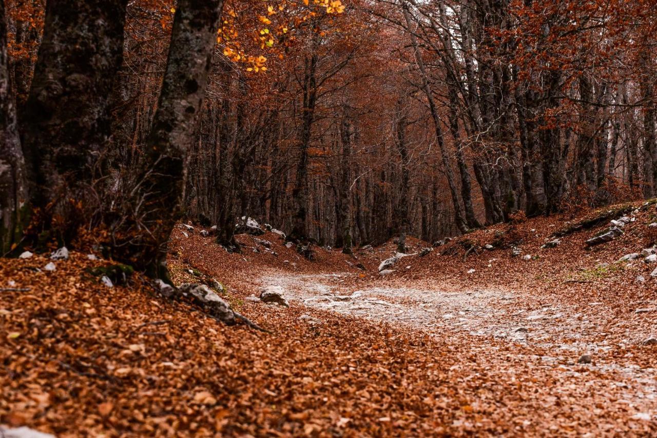 Appartamento A Campo Felice - Treeffe Collimento Eksteriør billede