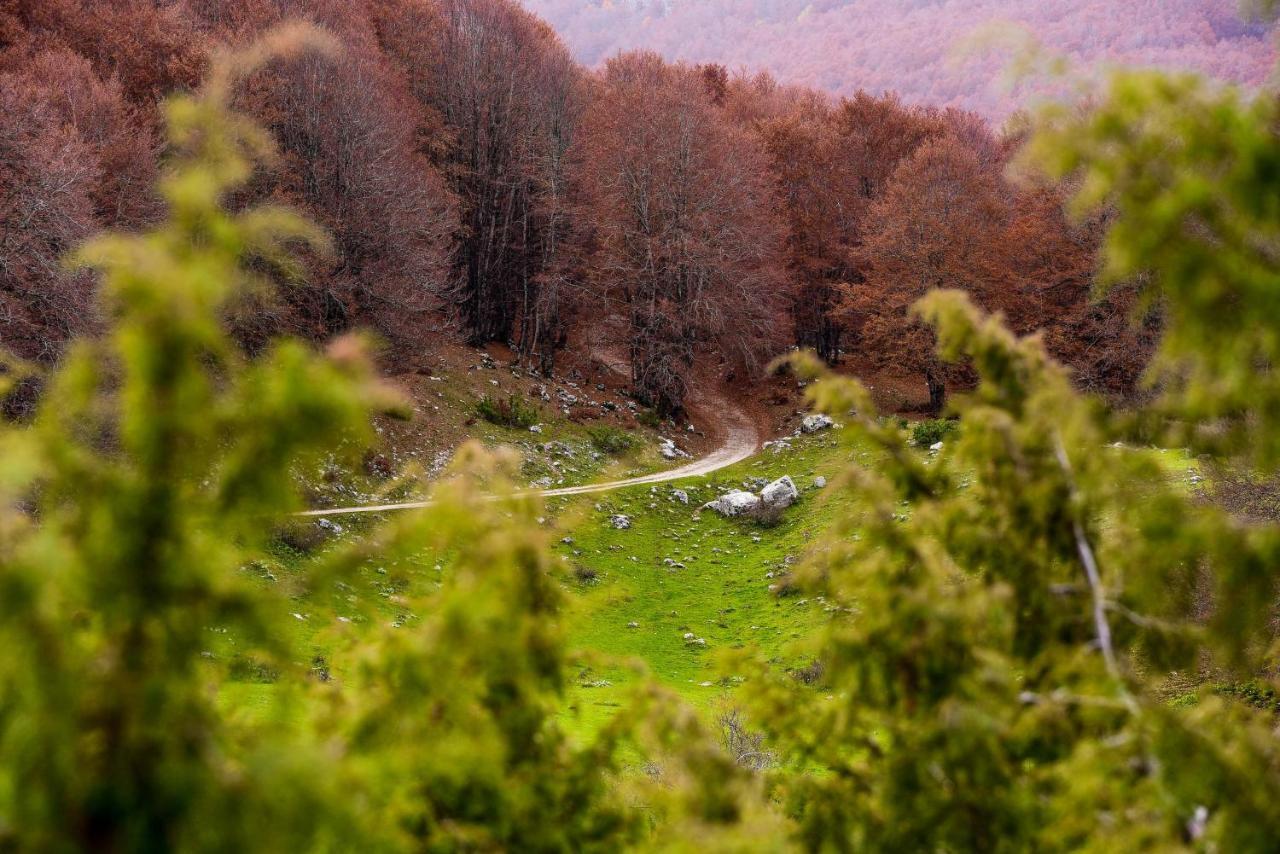 Appartamento A Campo Felice - Treeffe Collimento Eksteriør billede